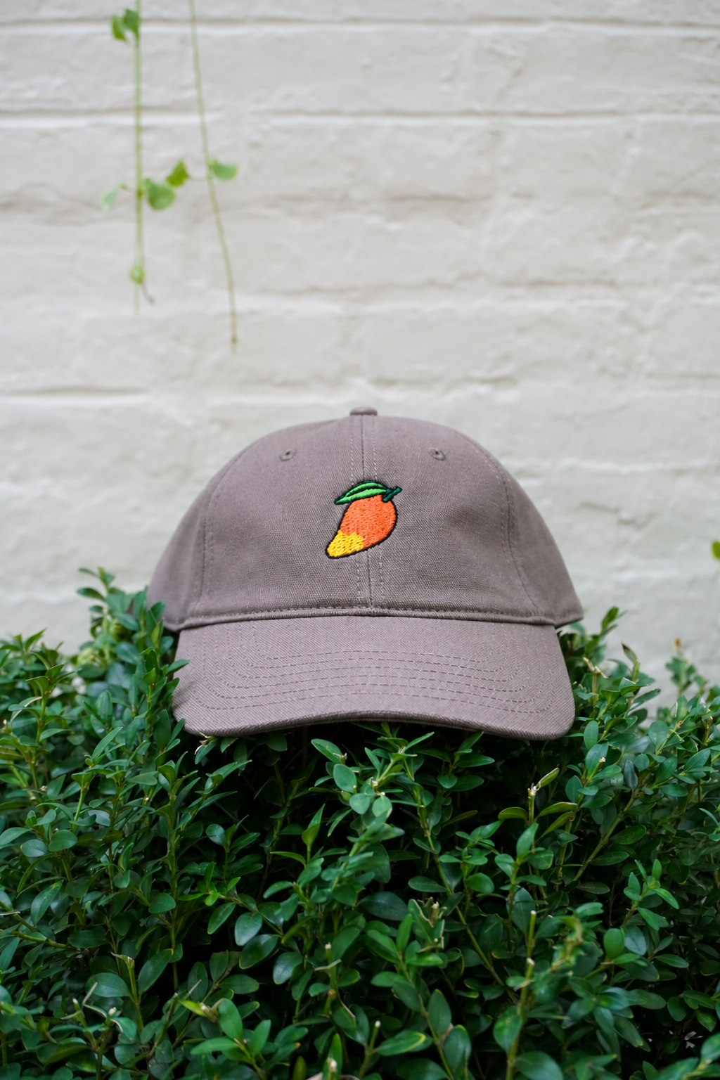 Mango Mania