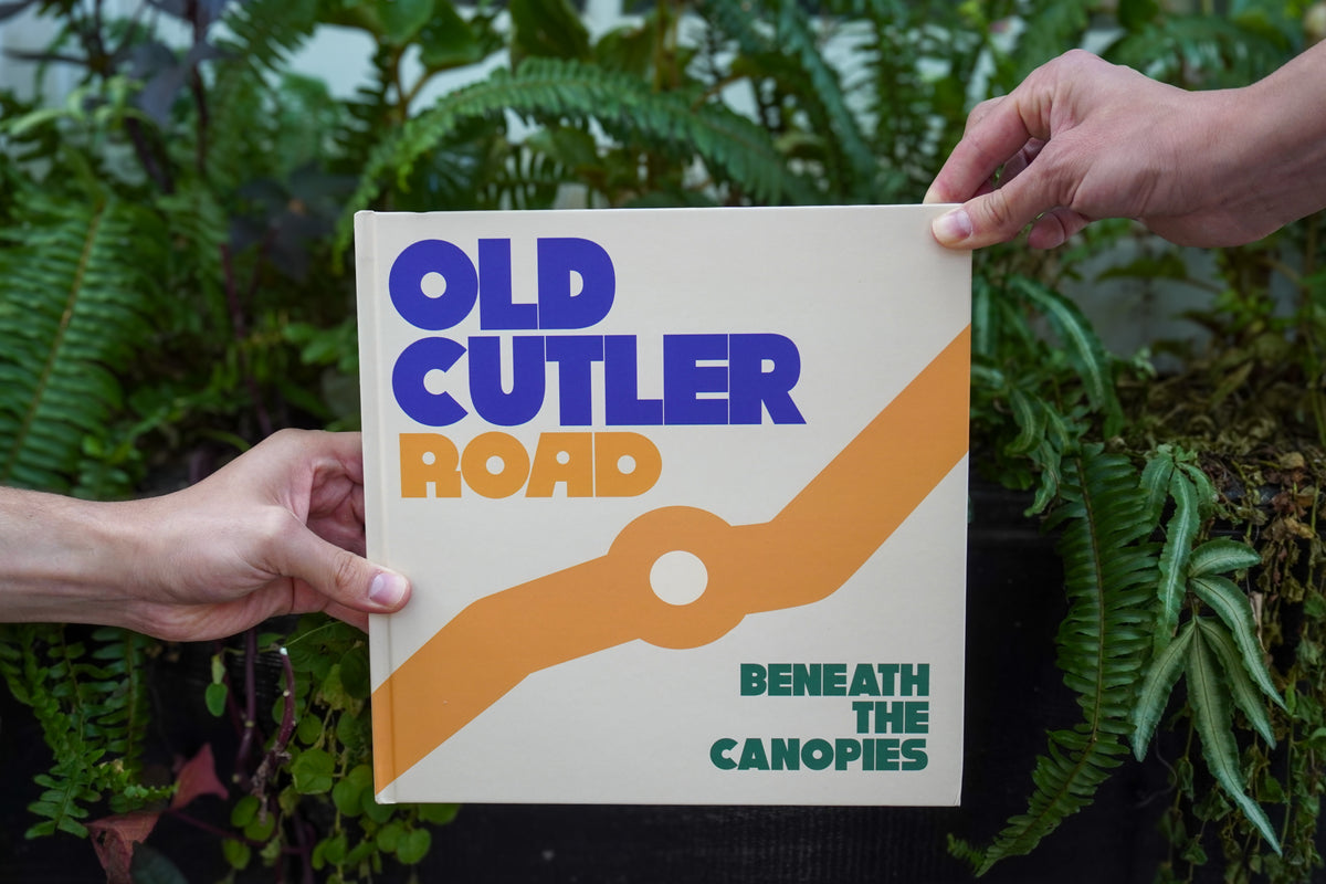 Old Cutler Road: Beneath the Canopies